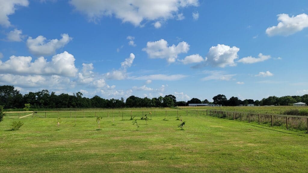 Wire Farm Fence Installation in Lafayette LA by Basin Fence Company
